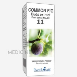 COMMON FIG BUDS EXTRACT