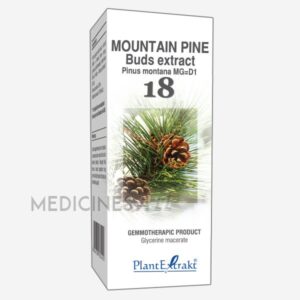MOUNTAIN PINE BUDS EXTRACT