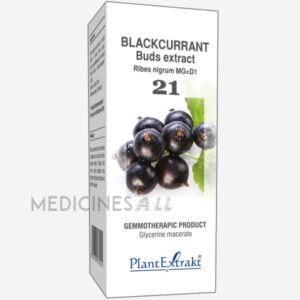 BLACKCURRANT BUDS EXTRACT