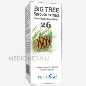 BIG TREE SPROUTS EXTRACT