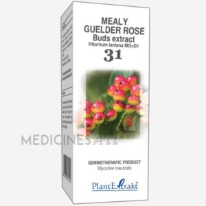 MEALY GUILDER ROSE BUDS EXTRACT